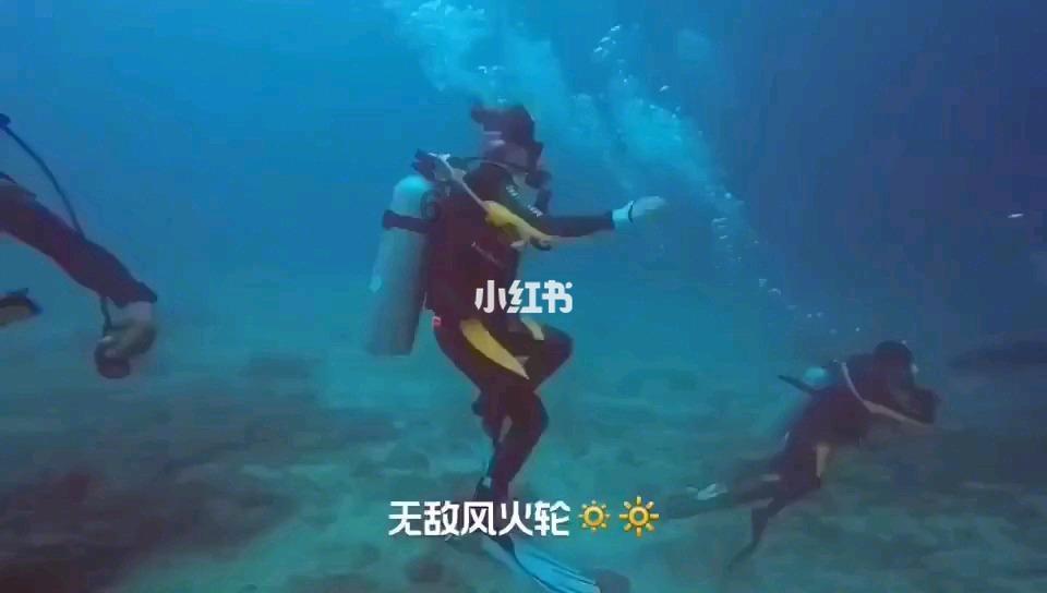 三国志12