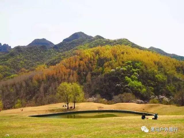 逆转糖尿病 可能需要减重手术
